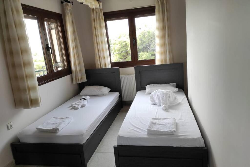 Artemis Penthouse 10 Minute From National Airport Villa Luaran gambar