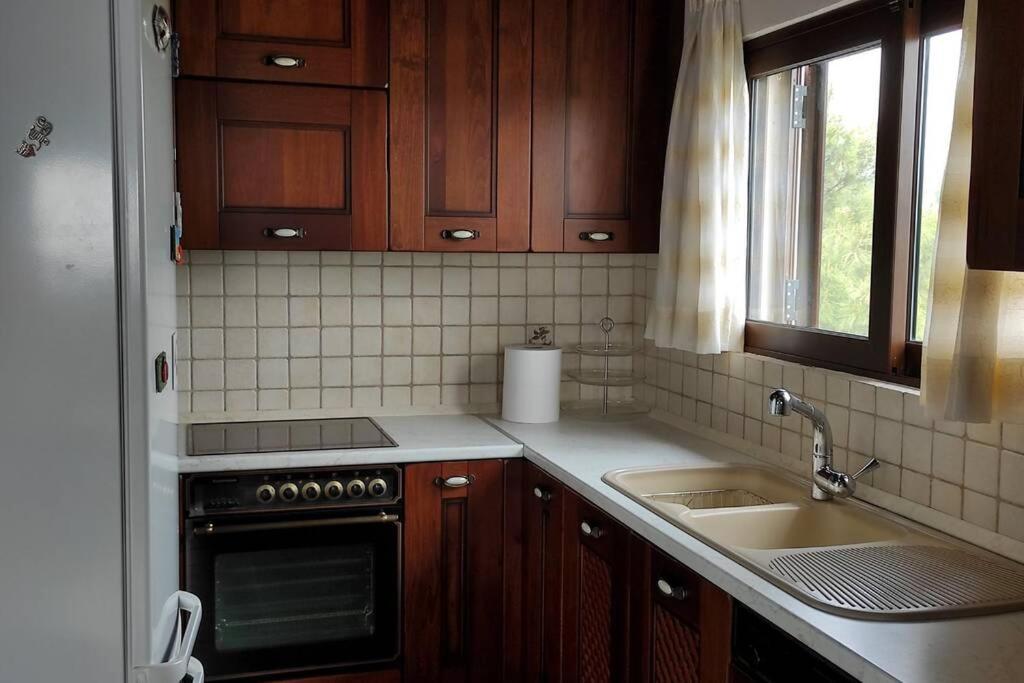 Artemis Penthouse 10 Minute From National Airport Villa Luaran gambar