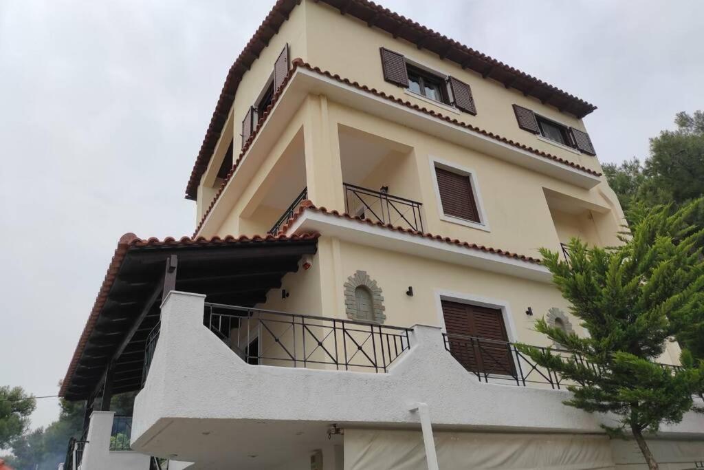 Artemis Penthouse 10 Minute From National Airport Villa Luaran gambar